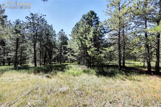 Photo 7 of 18390 Black Squirrel Road, Colorado Springs