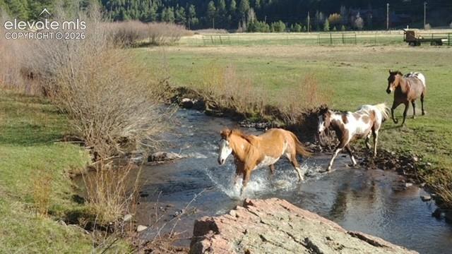 Stream

