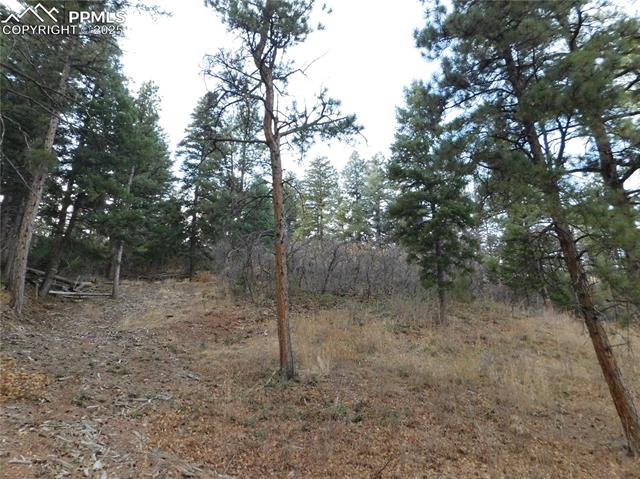 Photo 27 of 8055 Acoma Drive, Larkspur