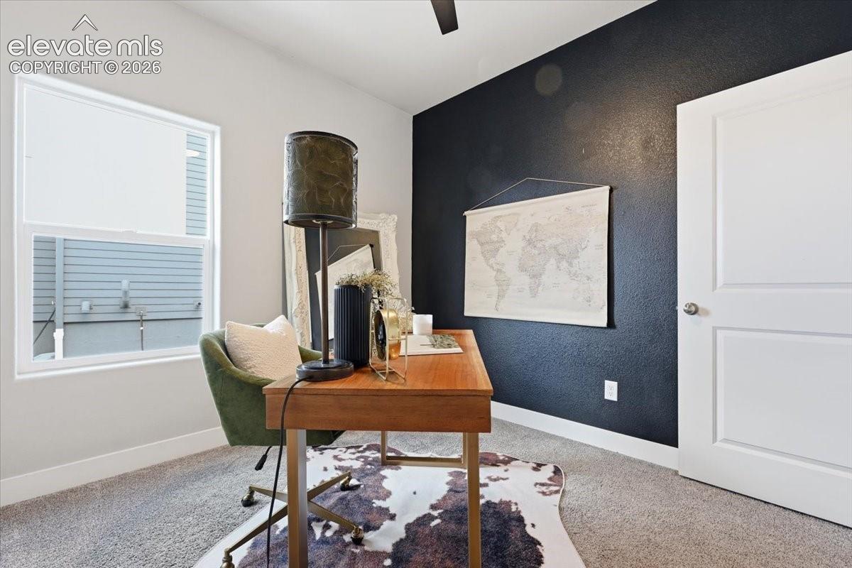 Carpeted flooring, white trim, a single window, a solid interior door, and a contrasting accent wall