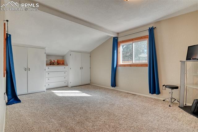 Additional living space featuring carpet and a textured ceiling