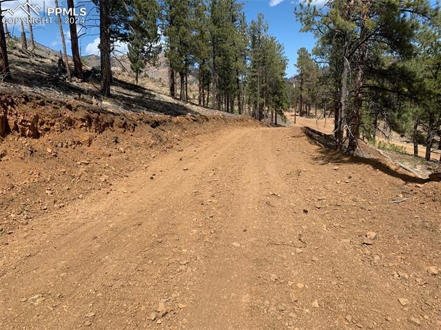 Nice wide driveway leading down to the road