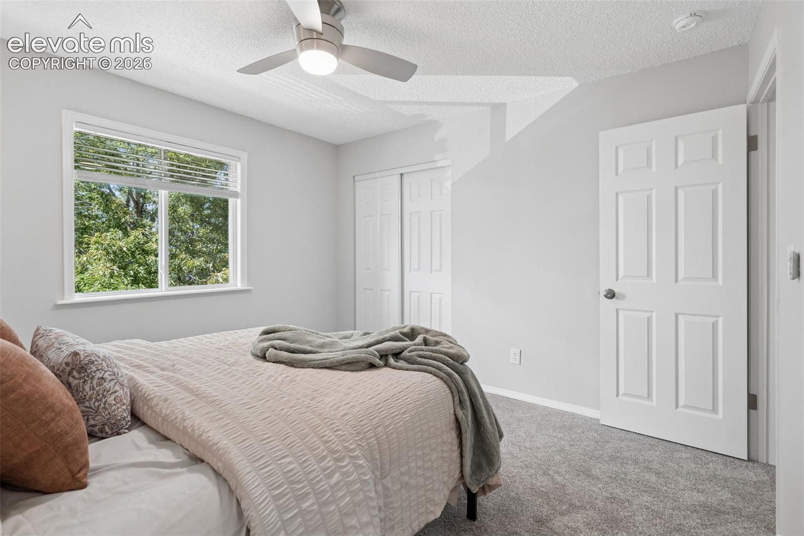 Photo 19 of 1321 Soaring Eagle Drive, Colorado Springs