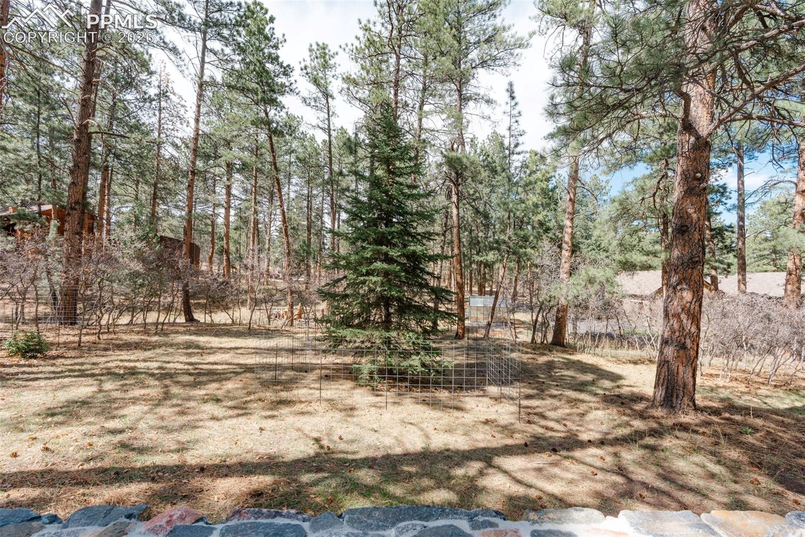 Photo 40 of 7045 Perry Park Boulevard, Larkspur