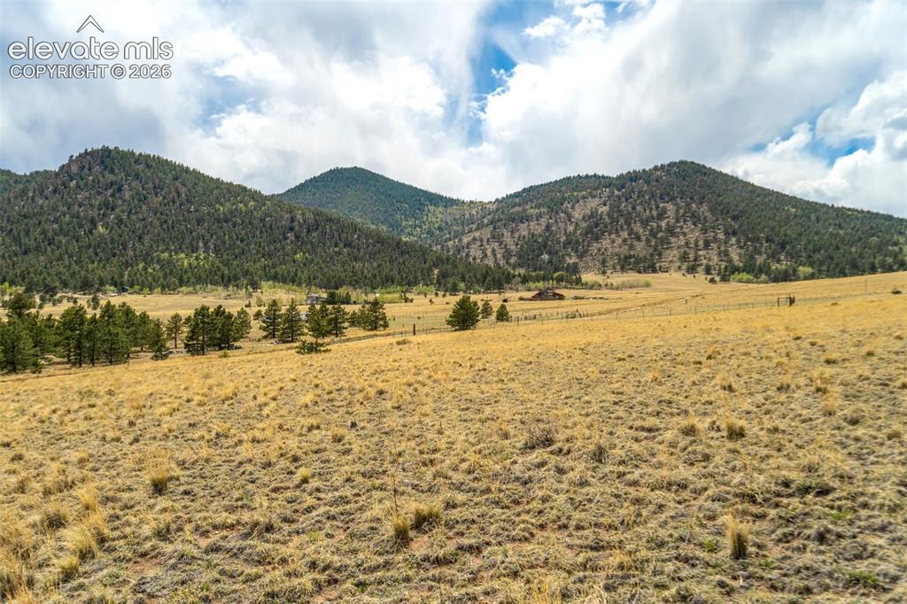 View from meadow land