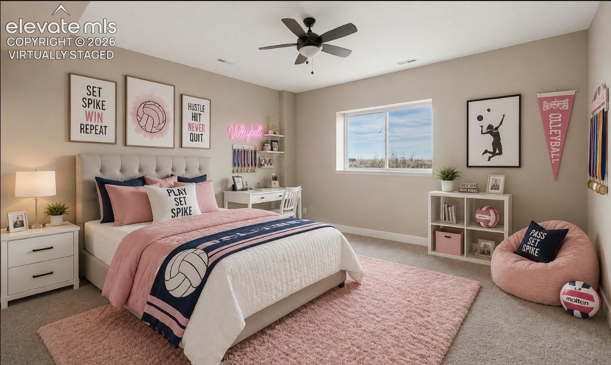 Virtually staged Basement Master Suite 3