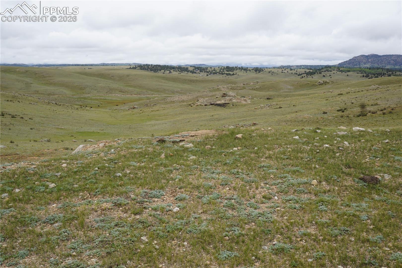 Photo 6 of LOT 16 High Drive, Hartsel