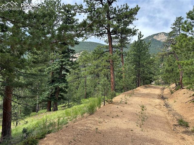 116 Happy Valley Rd, Manitou Springs, CO 80829