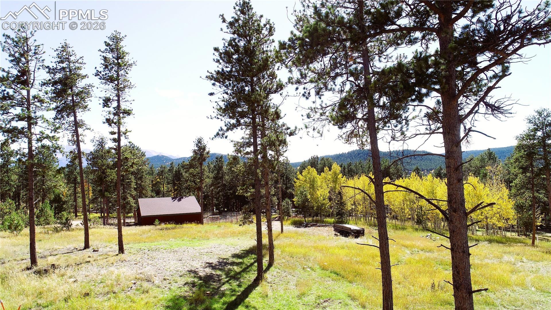Photo 36 of 210 Bridlewood Lane, Woodland Park