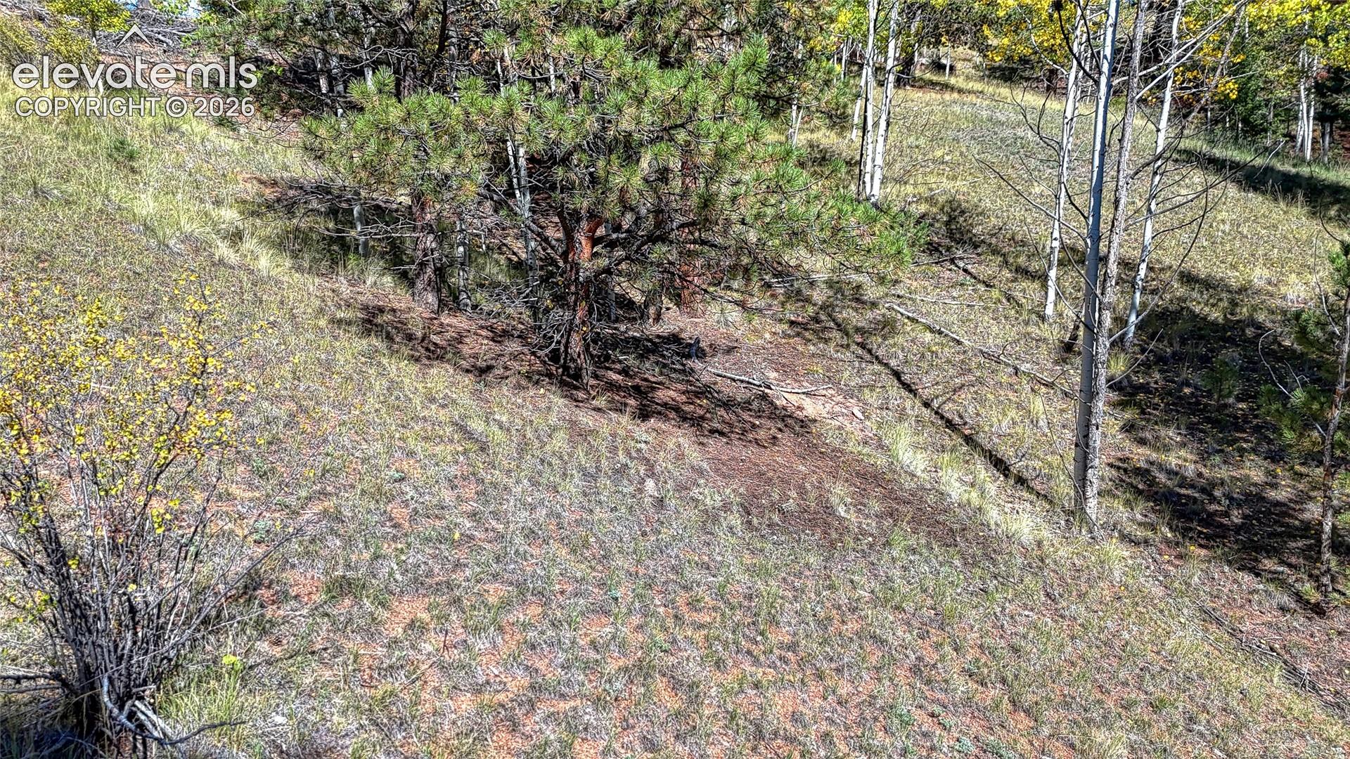 Photo 20 of 136 Gold Crown Circle, Cripple Creek