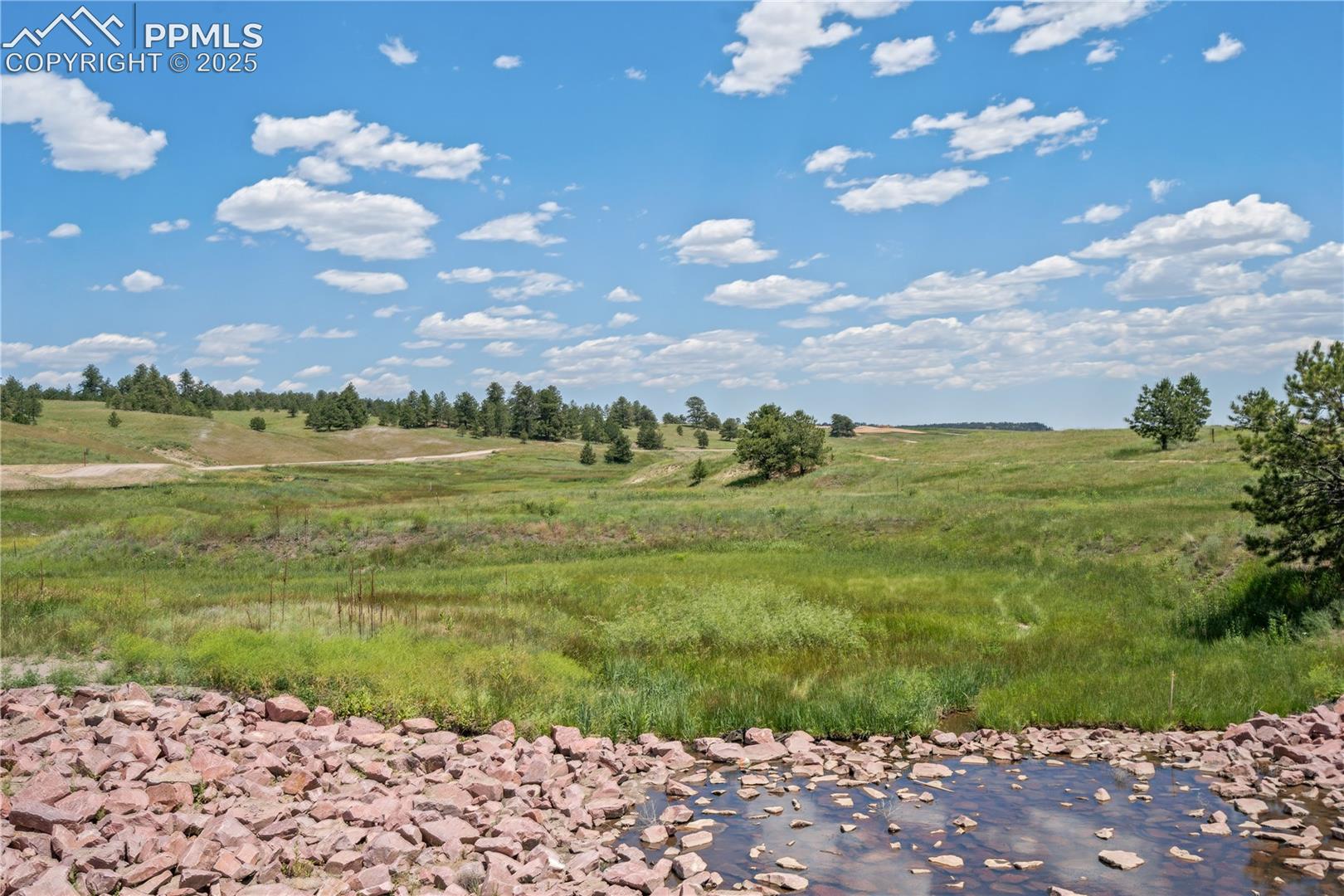 Photo 15 of 10905 Alamar Way, Colorado Springs