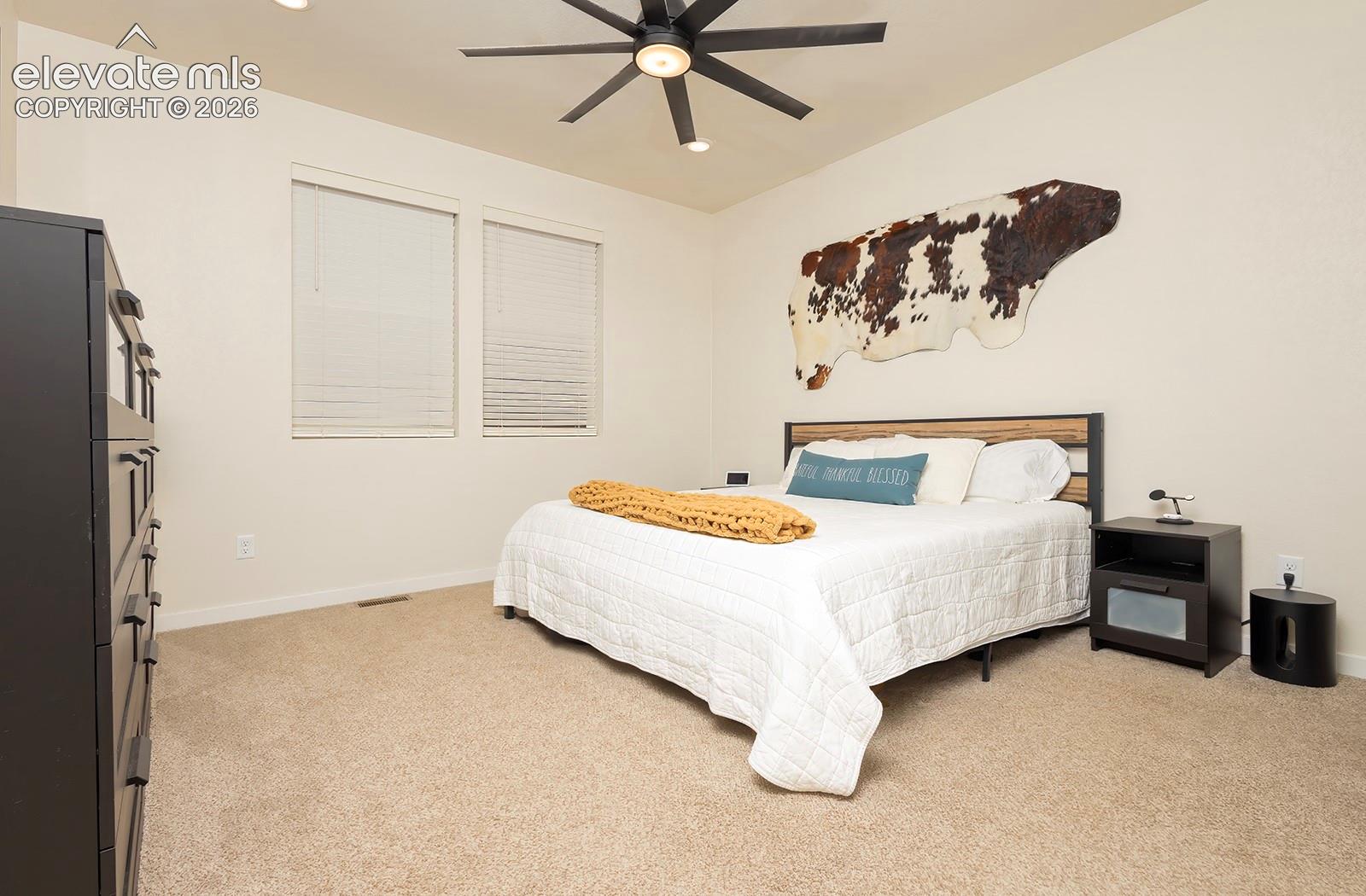 Photo 12 of 9828 Pennycress Drive, Colorado Springs