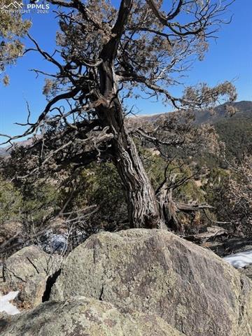Photo 6 of Lot 17 S Dunn Drive, Canon City