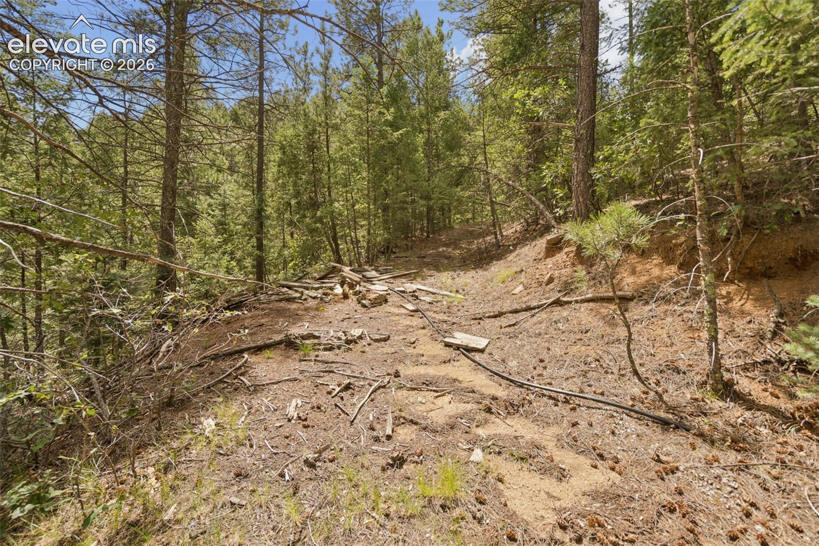 Old logging road on Northwest area of the property past the structure