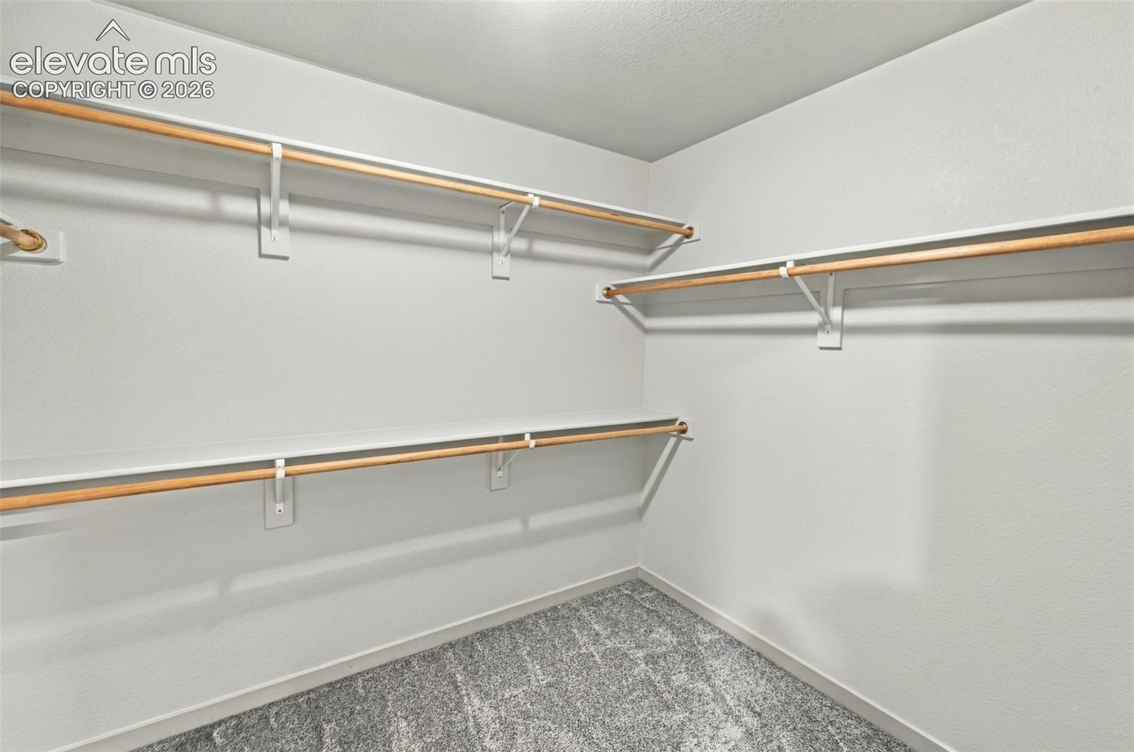 Walk-in storage space featuring multi-level white shelving and integrated wooden garment rods, complemented by wall-to-wall carpeting