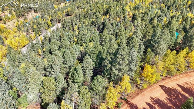 Photo 32 of 959 Calcite Drive, Divide