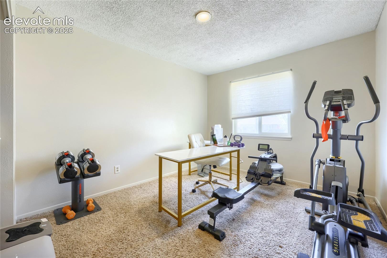 Room featuring neutral-toned carpeting, textured ceiling, and a window with a fitted roller shade