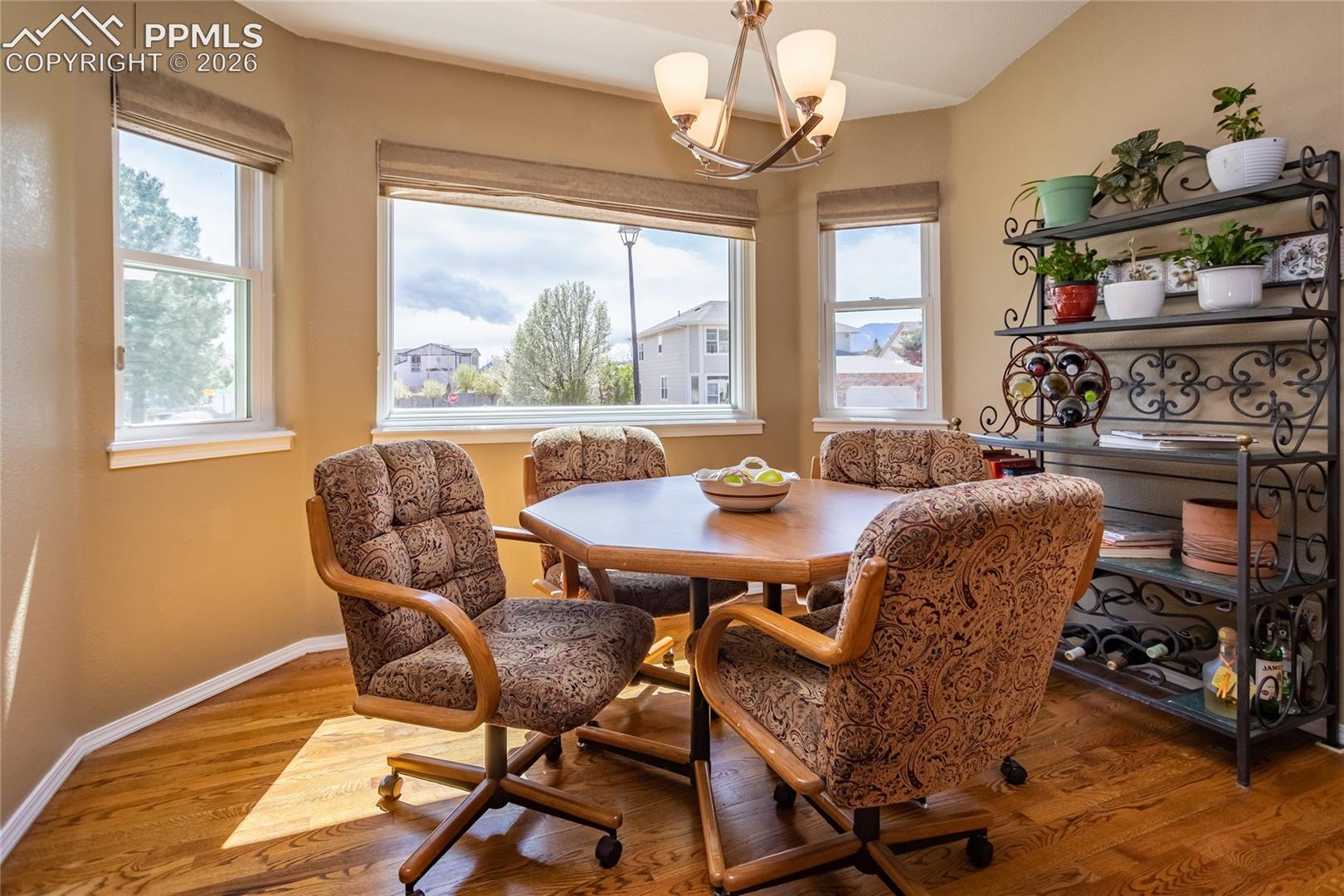 Photo 11 of 1250 Bison Ridge Drive, Colorado Springs