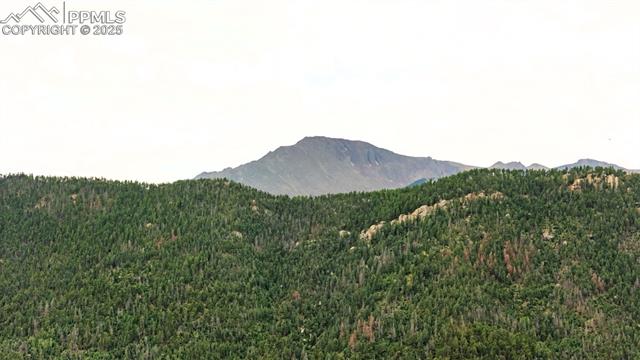 0 W Highway 24, Cascade, CO 80809