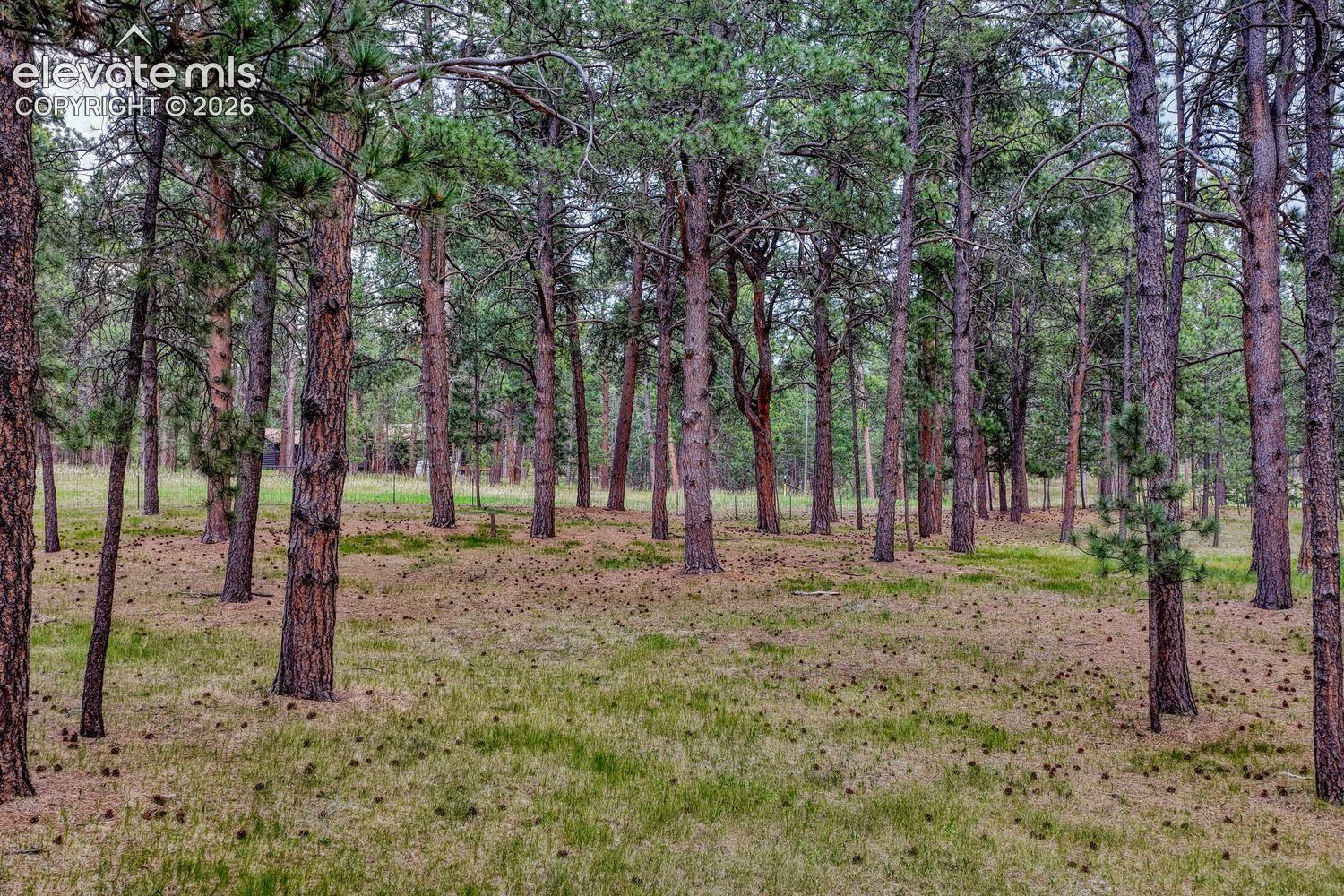 Photo 44 of 14225 Ponderosa Road, Colorado Springs