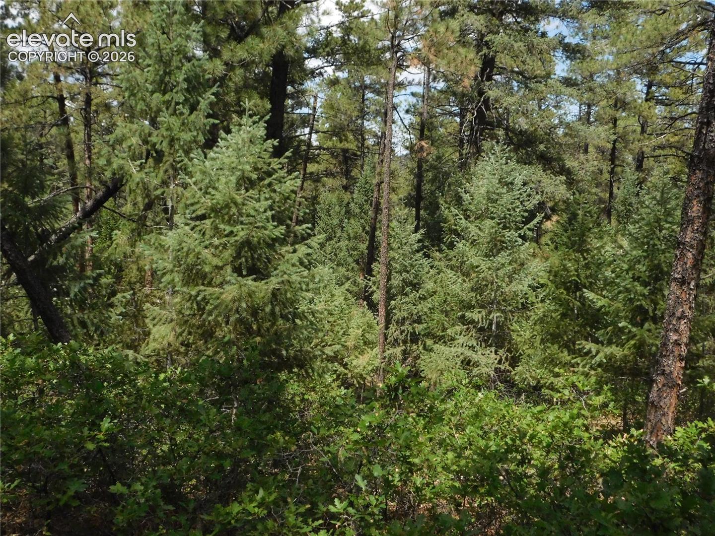 Photo 20 of 8139 Bannock Drive, Larkspur