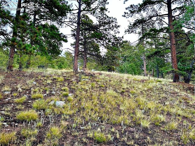 Photo 13 of 908 Penrose Circle, Cripple Creek