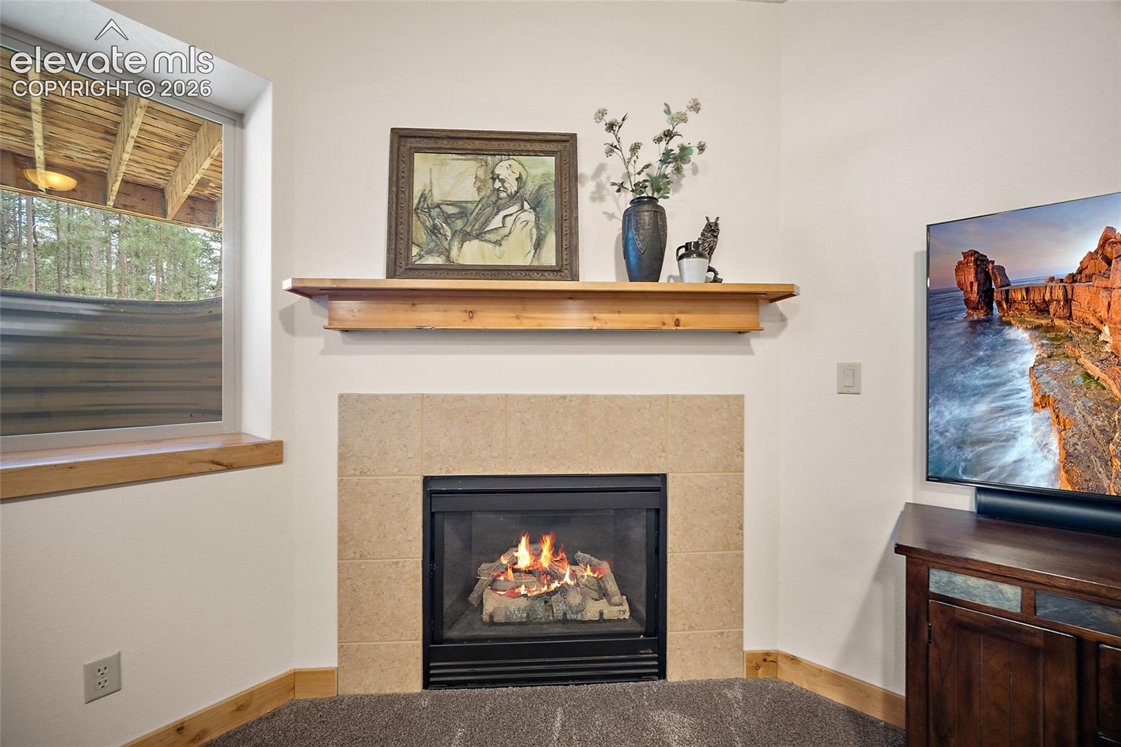Photo 36 of 4235 Slash Pine Drive, Colorado Springs