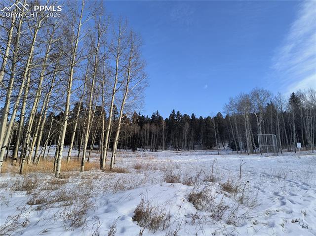 0 Will Scarlet Dr, Divide, CO 80814