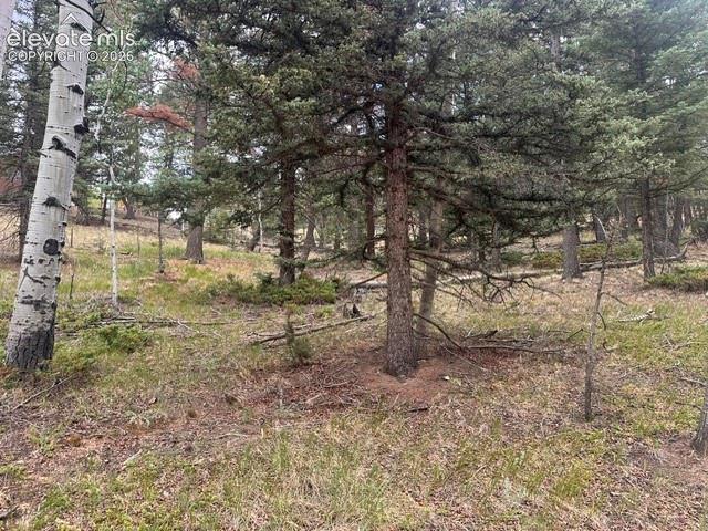 687 Trout Haven Rd, Florissant, CO 80816