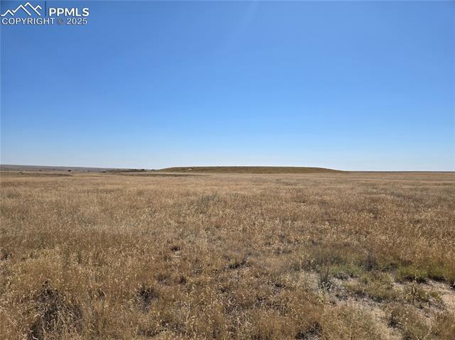 View of local wilderness with a rural view