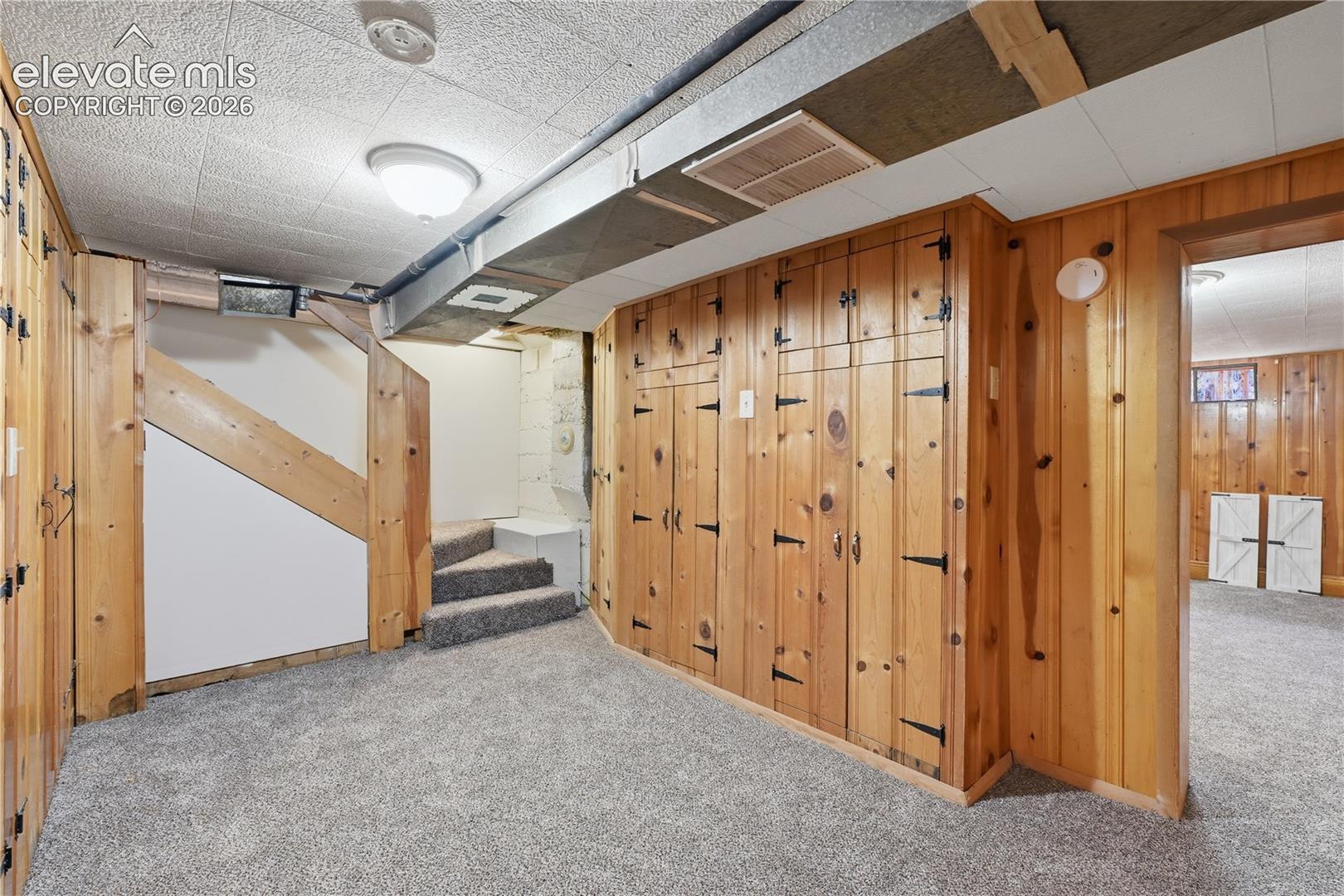 Another view of the entry portion of the basement.