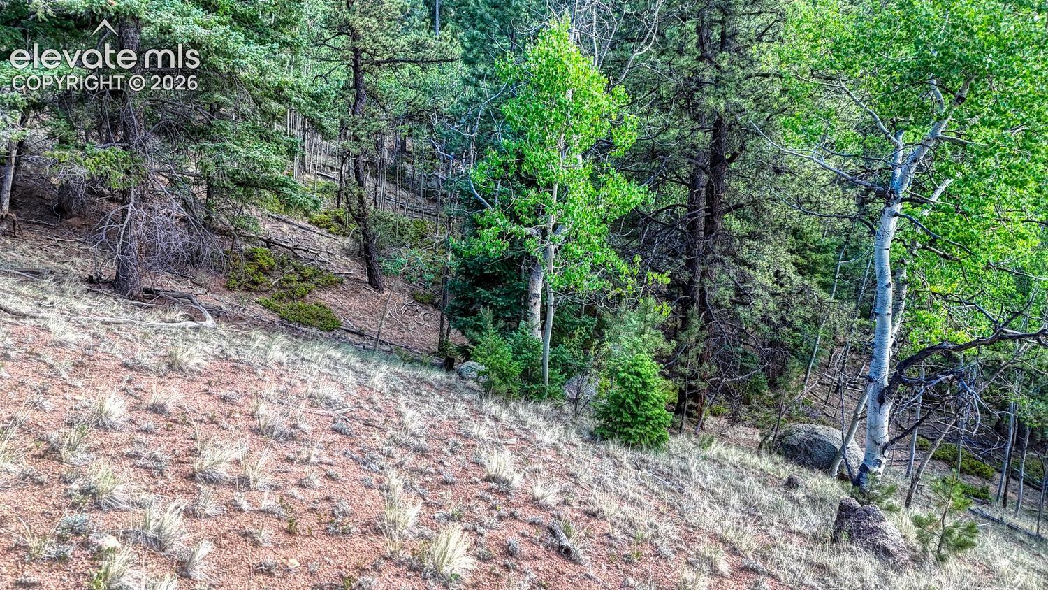Photo 14 of 783 Bennett Drive, Cripple Creek
