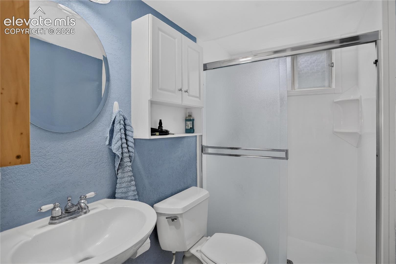 Guest bath - lower level