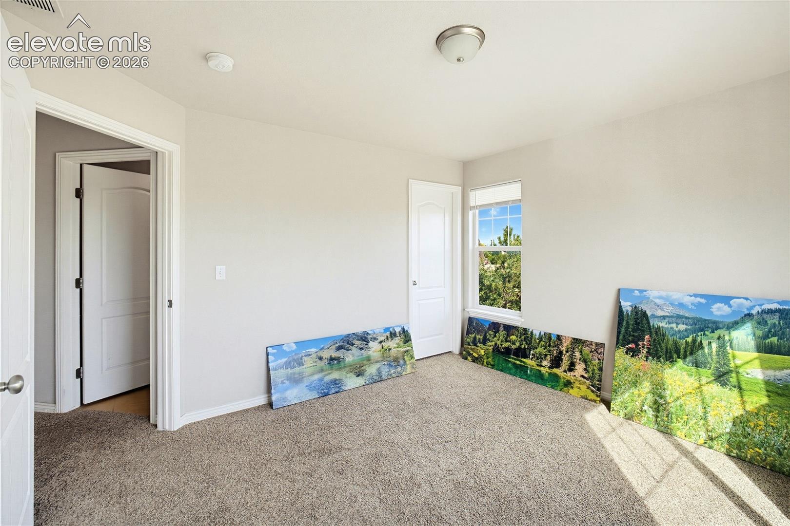 Neutral wall finishes, carpeted flooring, two-panel interior doors, and a single-hung window