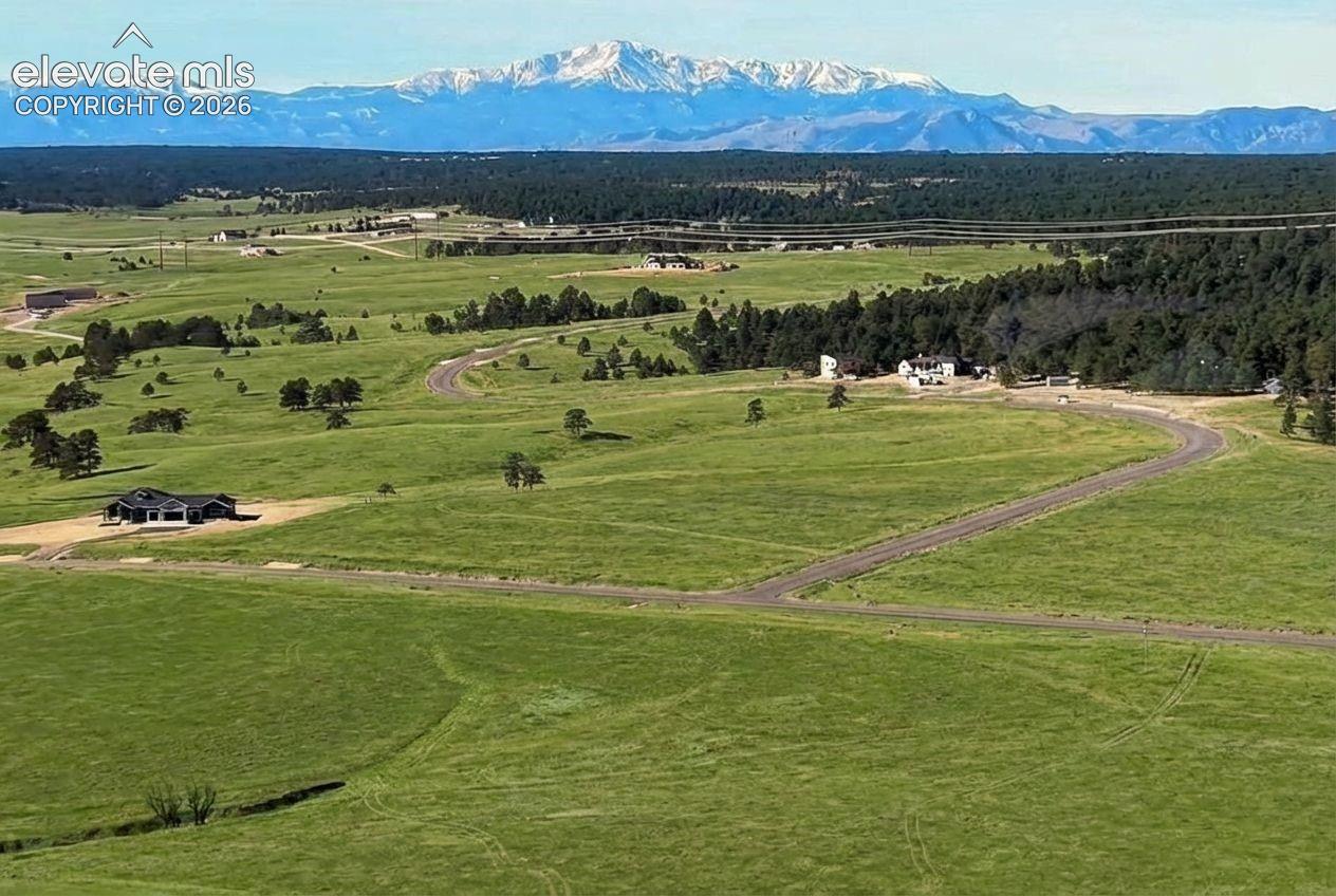 17435 Twinkling Star Ln, Colorado Springs, CO 80908