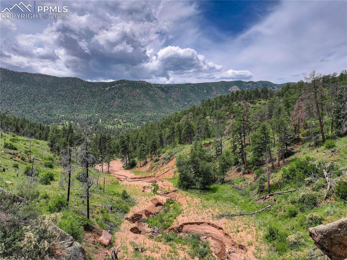 6085 Wellington Rd, Cascade, CO 80809