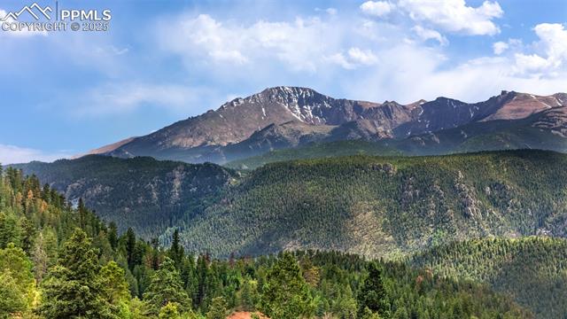 View of mountain backdrop featuring a forest