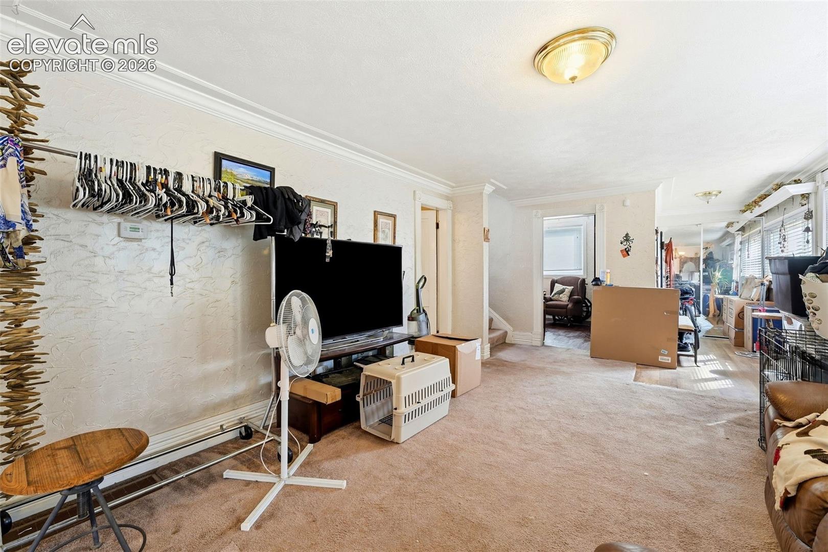 Carpeted flooring extending throughout, crown molding detailing, and a ceiling-mounted light fixture