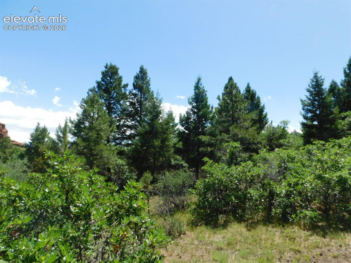 Photo 29 of 6447 Thunderbird Road, Larkspur
