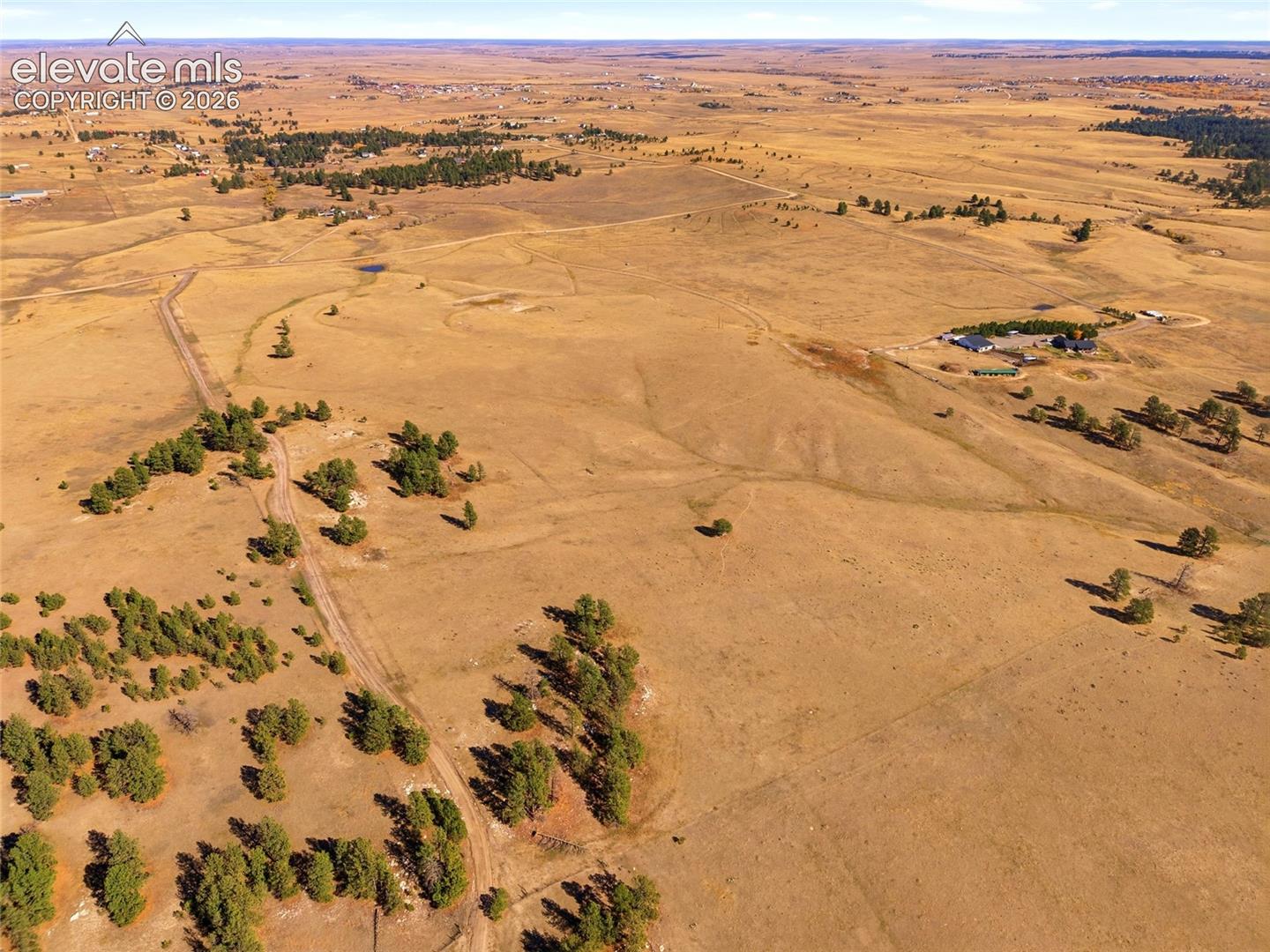 Expansive acreage featuring rolling topography, clusters of mature evergreen trees, and integrated dirt trails