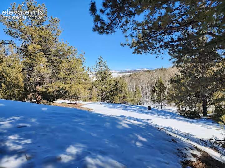 1173 Bellows Rd, Hartsel, CO 80449