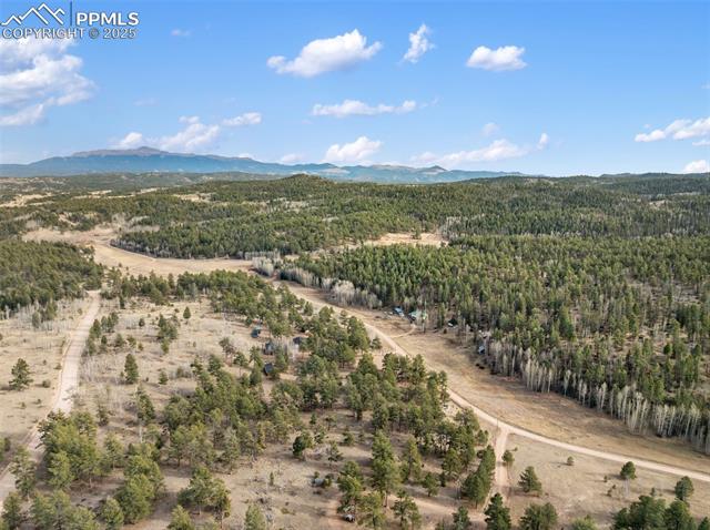 Drone / aerial view of a heavily wooded area and a mountainous background