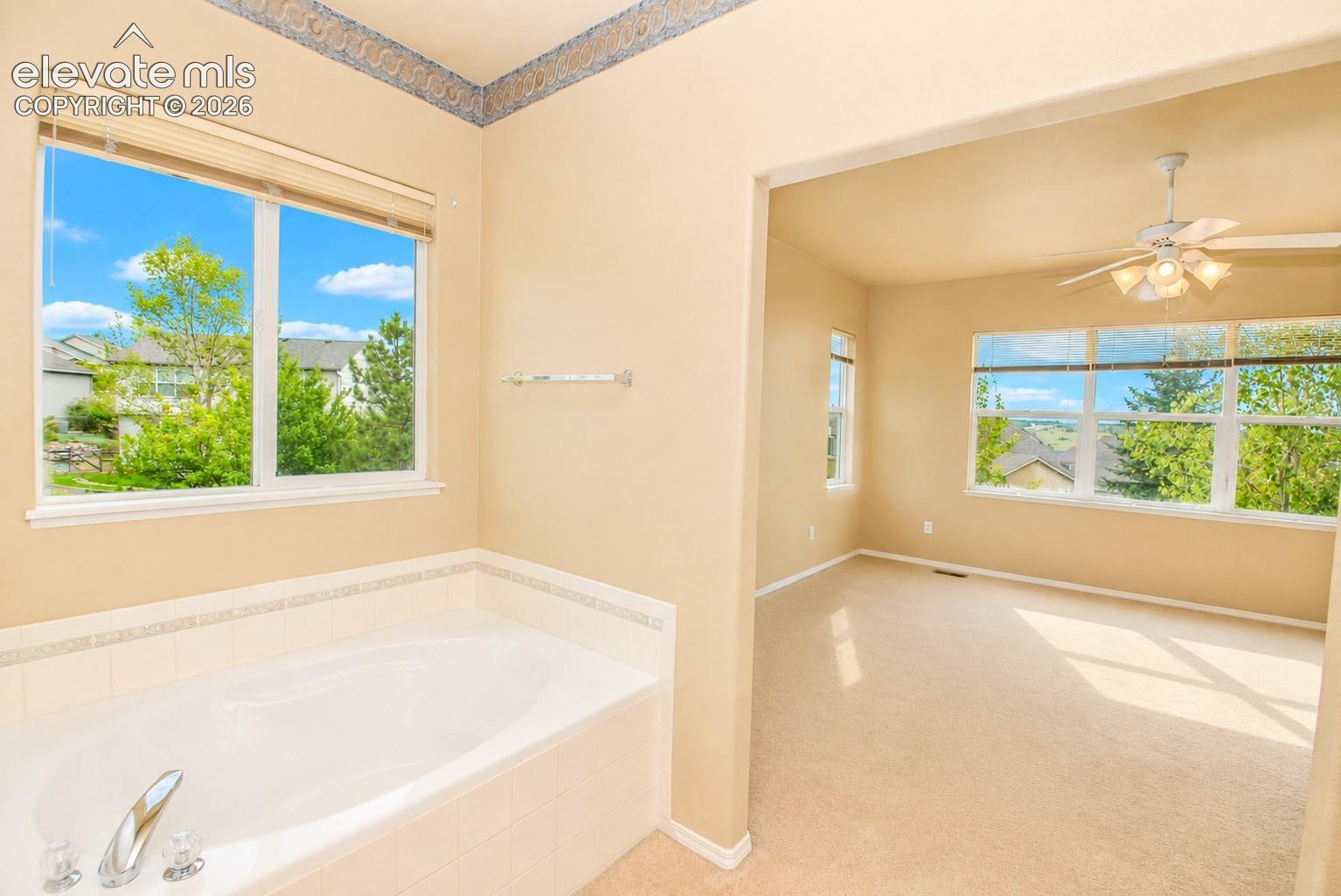 Photo 18 of 11835 Cloudy Creek Court, Colorado Springs