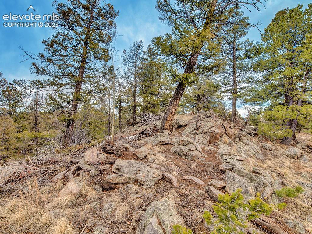 Photo 23 of 1462 Pulver Road, Lake George