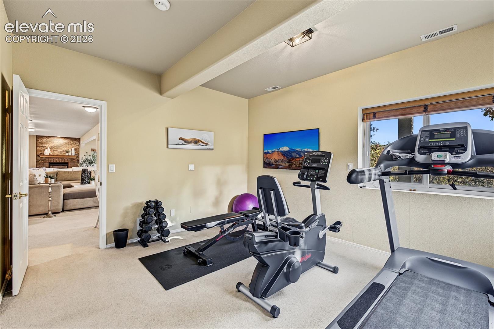Third bedroom in the full walkout basement, currently used as a home gym, featuring mountain views and ample space for exercise equipment or a variety of other uses.