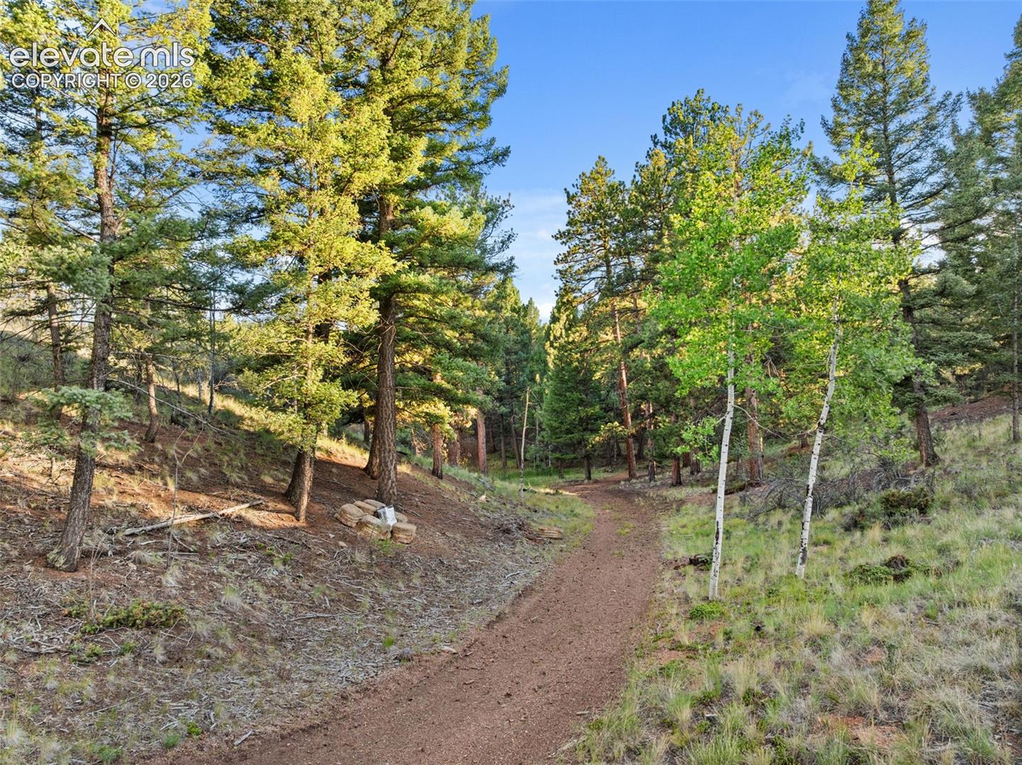 Photo 40 of 1933 County Road 782, Woodland Park