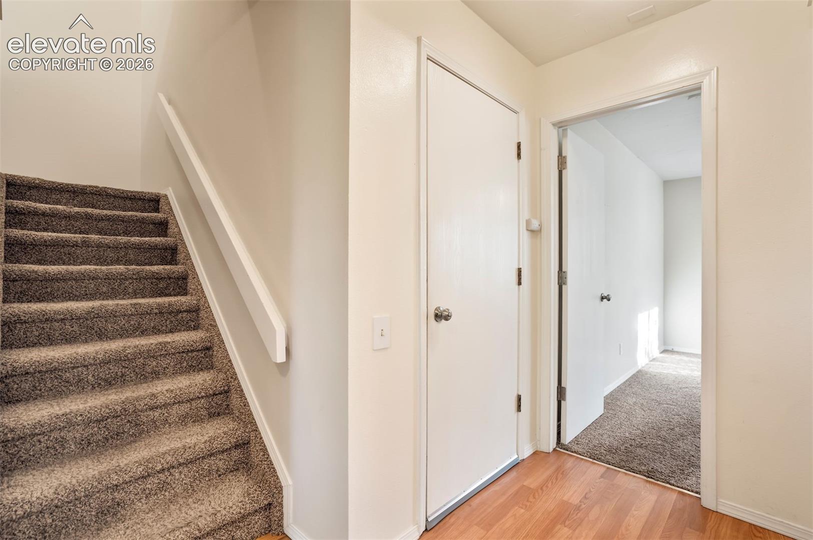 Staircase featuring neutral carpeting and a wall-mounted handrail, wooden-finish flooring, and solid-core interior doors