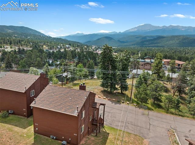 303 E Lake Ave, Woodland Park, CO 80863