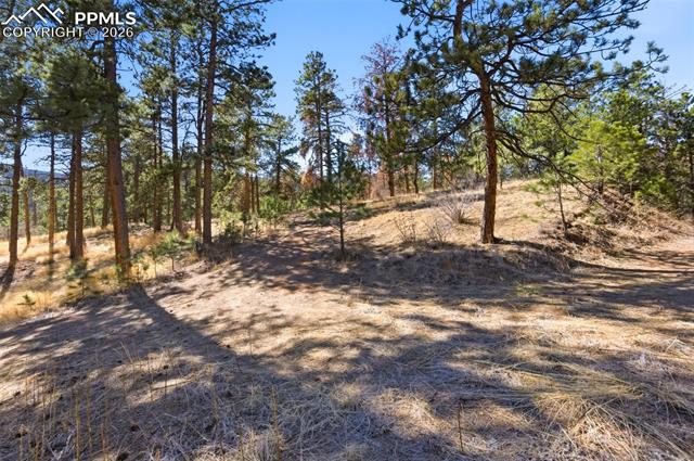 Easement off of Packard. Not public property. Approval needed to use.