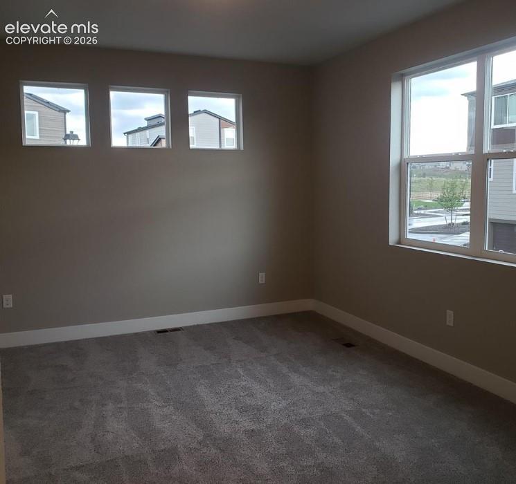 Neutral-toned interior space featuring carpeting, large multi-pane windows, and a series of three high-mounted transom windows
